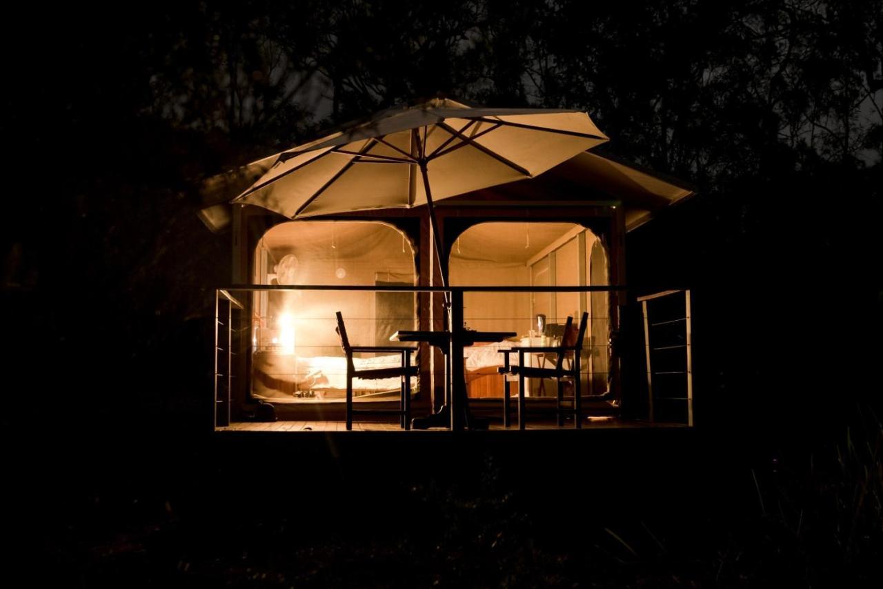 Wild Nature Lodge, Mareeba Wetlands Biboohra Eksteriør billede