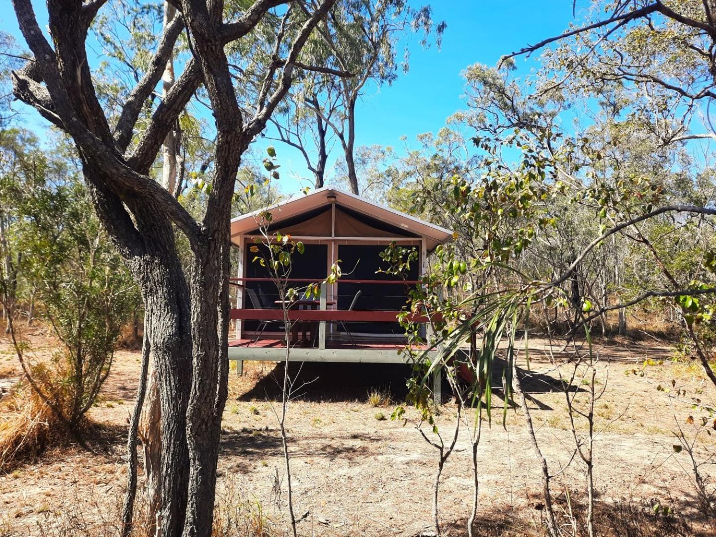 Wild Nature Lodge, Mareeba Wetlands Biboohra Eksteriør billede